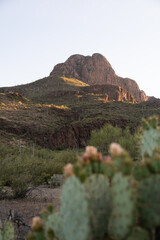 arizona mountain