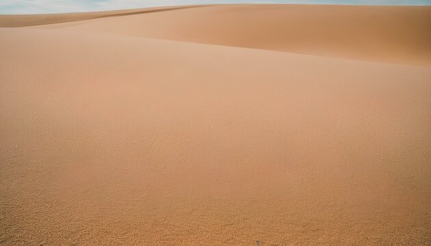 sand dunes in the desert