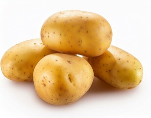 ジャガイモ（potato）
