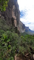 parede do monte roraima, vista a partir da base 