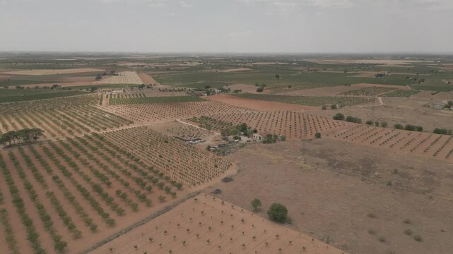 LAS ADELFAS VILLAROBLEDO