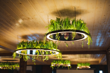 A ceiling adorned with numerous plants that gracefully hang down from it, creating a natural and...