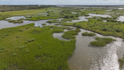 Natural wetland tidal marsh with wildlife near St Augustine Beach Florida next to residential homes along coastline AIA scenic Byway