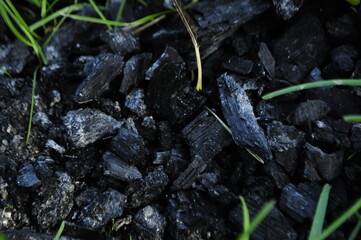 Coal