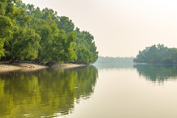 Obraz premium Sundarban