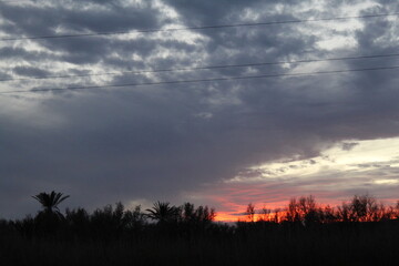Obraz premium A silhouette of trees and palms against a dramatic sky at sunset, where dark clouds and vibrant red and orange hues near the horizon blend into a worthy creative work.