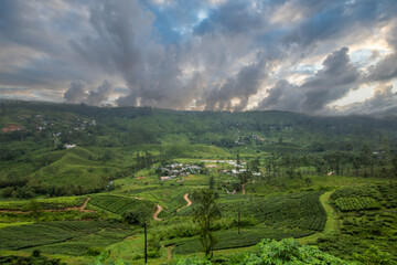 Landscape photograph in the fertile highlands in the subtropical climate. Jungle forest, fields and...
