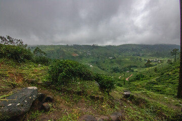 Landscape photograph in the fertile highlands in the subtropical climate. Jungle forest, fields and...