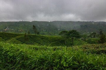 Landscape photograph in the fertile highlands in the subtropical climate. Jungle forest, fields and...