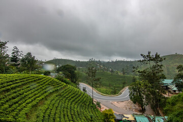 Landscape photograph in the fertile highlands in the subtropical climate. Jungle forest, fields and...