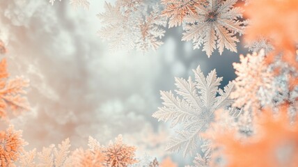 Naklejka premium Delicate, frosty snowflakes in various sizes against blurred background