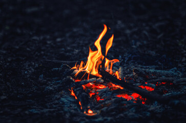 Lone Campfire Flickering in Dark Cozy Night Outdoors