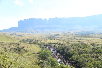Fototapeta premium paisagem no caminho do trekking ate o monte roraima, parque nacionla canaima, venezuela. 