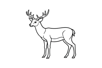 Deer Line Art Vector Illustration – Majestic and Rustic Wildlife Design for Elegant Nature Art