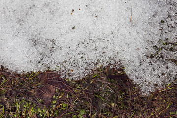 damp soil and dry last year grass appearing from under melting snow in early spring, top view
