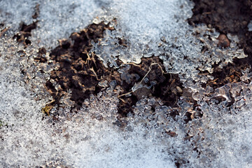 damp soil appearing from under the melting snow in warm spring sunlight, top view closeup image