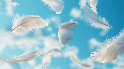 Naklejka premium White feathers floating in blue sky, serene and soft.