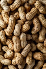 Fototapeta premium A close up of many peanuts