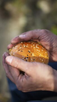 Burger Held in Hands of A Poverty-stricken Man Outdoor, Fod Crisis Vertical Video. Homeless People Living On Streets. Expensive food, unhealthy meal 
