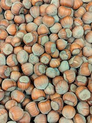 Close-up of a large collection of hazelnuts showing their textured shells