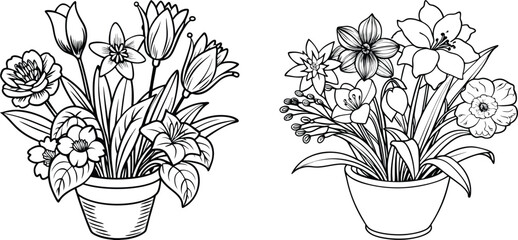 Bouquet of daffodils blooming with long stems flowers and leaves illustration clip art coloring book black and white for kids and adults isolated line art on white background.