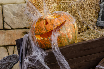 A pumpkin with a carved face, decorated with a spider web, against a background of hay and other pumpkins, the photo better conveys the atmosphere of Halloween