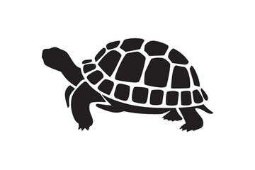 tortoise vector and silhouette