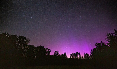 Northern lights over forest. Geomagnetic storm.