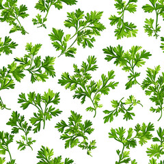 Fototapeta premium Fresh Crisp Parsley Leaves Isolated on Clean White Background
