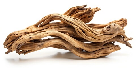 Driftwood Branch with Intricate Curves, Natural Beauty , Wood Art