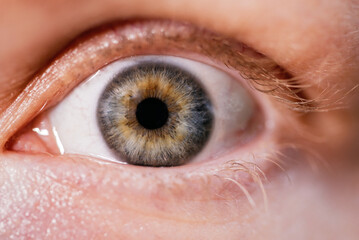 Macro photo of human eye looking. close-up detail of green eye. Health concept in visual center....