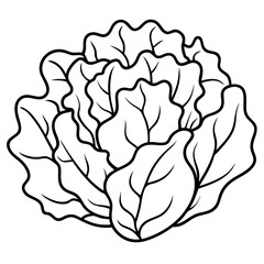 illustration of a rose