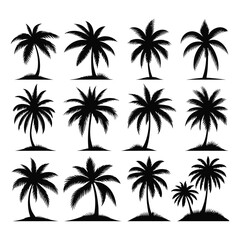 Silhouette set of palm trees vector illustration
