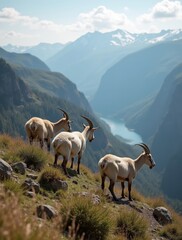 Naklejka premium panoramic view wild goats nature
