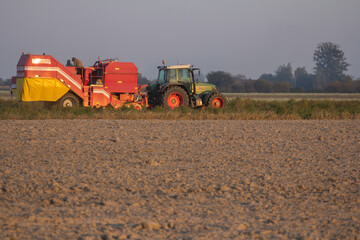 Farm machinery harvesting potatoes on farm field © Bagatela