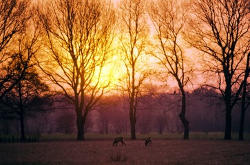 Beautiful romantic sunset background