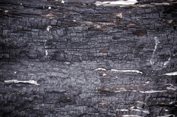 Wooden texture close view background