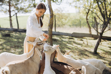 Young Woman Feeding Goats in a Peaceful Farm Setting Surrounded by Lush Greenery and Warm Sunlight,...