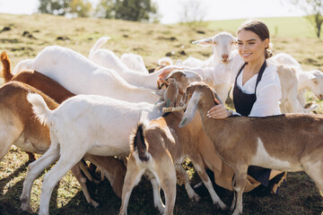Joyful Woman in Farm Setting Interacts With Herd of Goats Grazing the Lush Countryside
