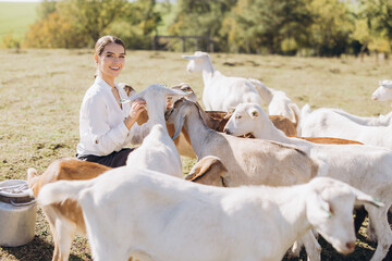 Young Woman Enjoying a Sunny Day on the Farm Surrounded by Happy Goats in a Lush Pasture