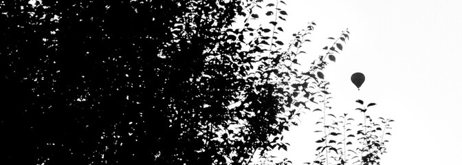 Ein Balon am Himmel, Breites schwarz weiß Bild © bildermitherz.world