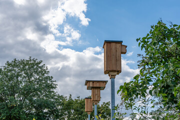 Germany Berlin August 7, 2024. Large birdhouses located on metal poles. Wooden birdhouses against a blue sky.