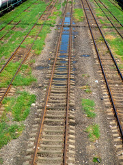 Obraz premium Rails with sleepers. Many tracks. Railway crossing. Cargo transportation concept.