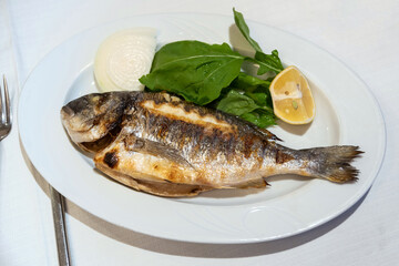 Grilled dorado fish in a white plate, mediterranean cuisine.