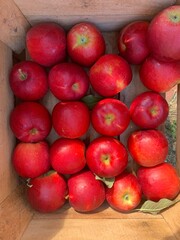 Farmers Market Barrel of Apples