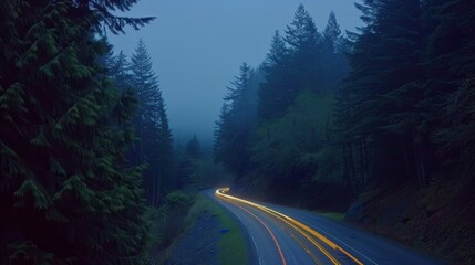 Fototapeta premium The dense trees give way to an open stretch of road highlighted by the steady stream of cars leaving behind a trail of light.