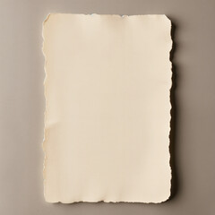 Paper with deckle edge. Background, blank sheet, lots of space for text.