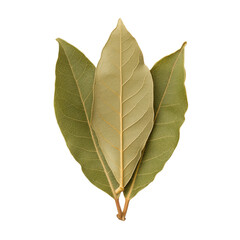 Obraz premium Bay leaves arranged on a white isolated background.