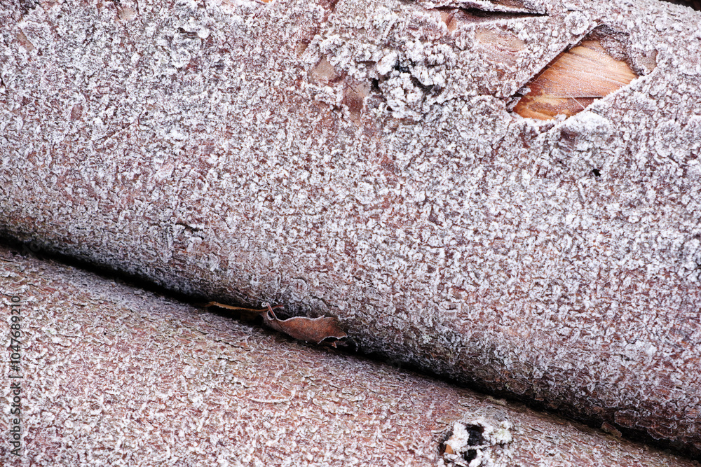 Poster a piece of wood covered in frost and snow. the wood appears to be old and weathered, with a rough te