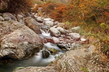 Arroyo Piedra Blanca 